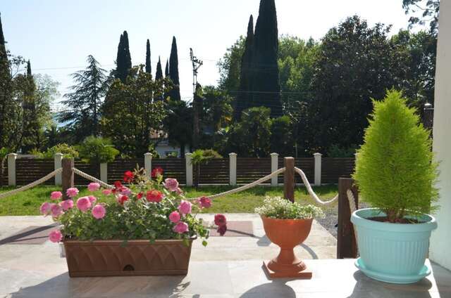 Гостевой дом Guest House on Ardzinba 91 Гагра-10